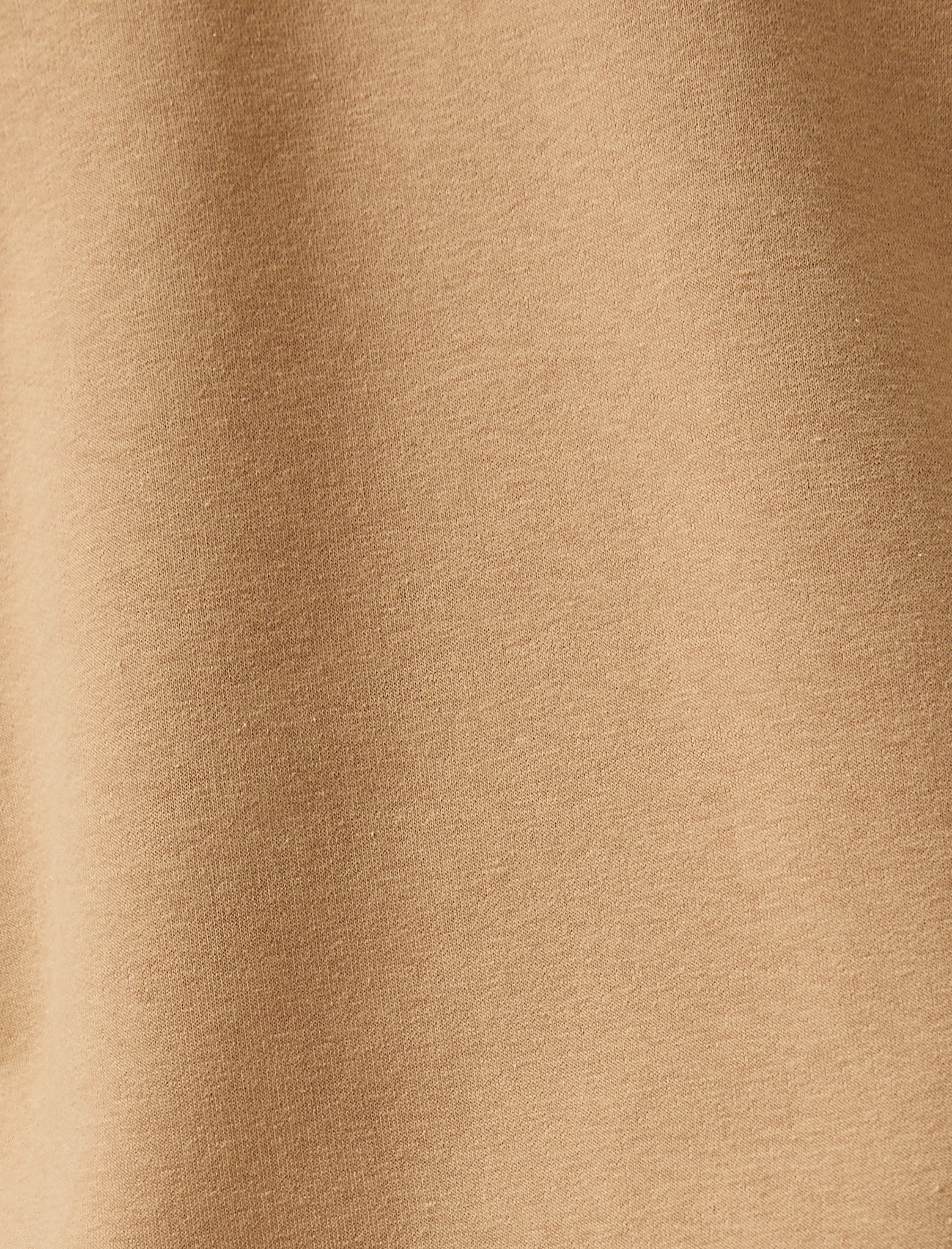 Men's Basic Hoodie in Camel